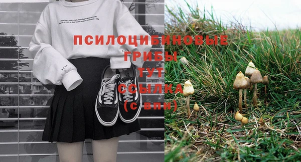 MDMA Верхний Тагил