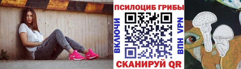 Купить  Магадан  Галлюциногенные грибы Magic Shrooms 